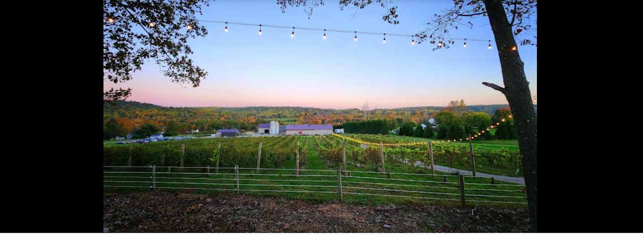 Little Ridge Vineyards