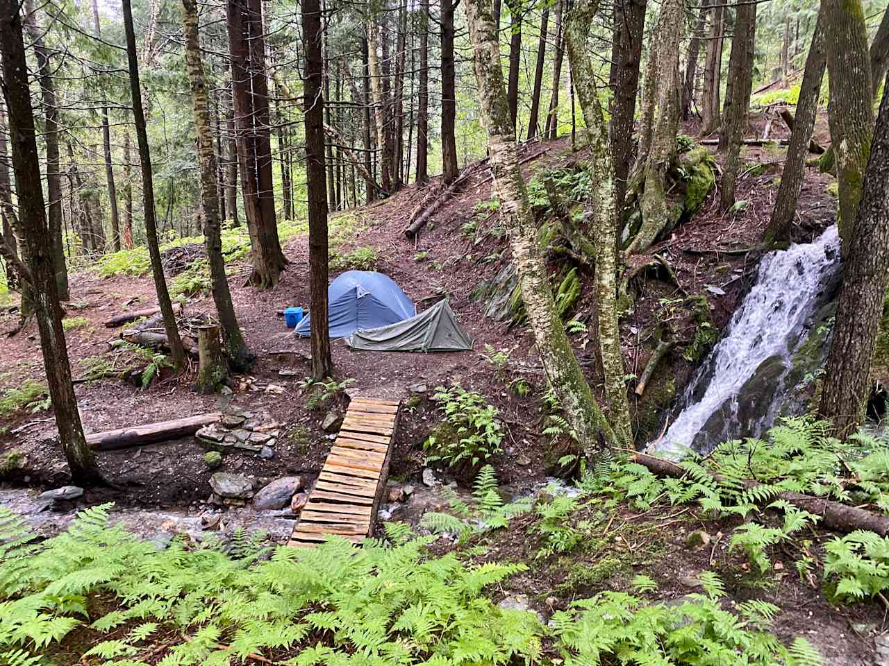 Fern Hollow