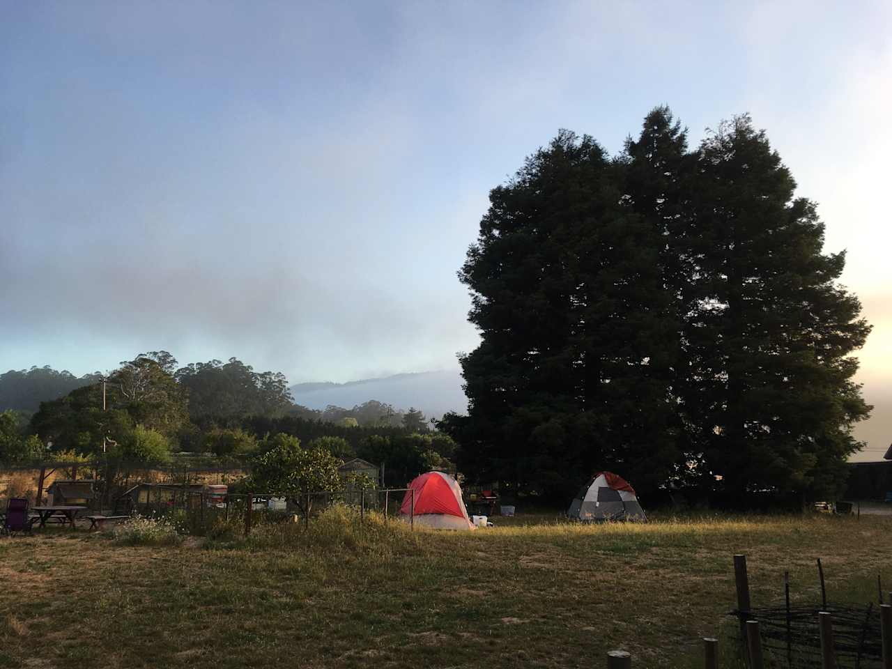 Tent in the morning
