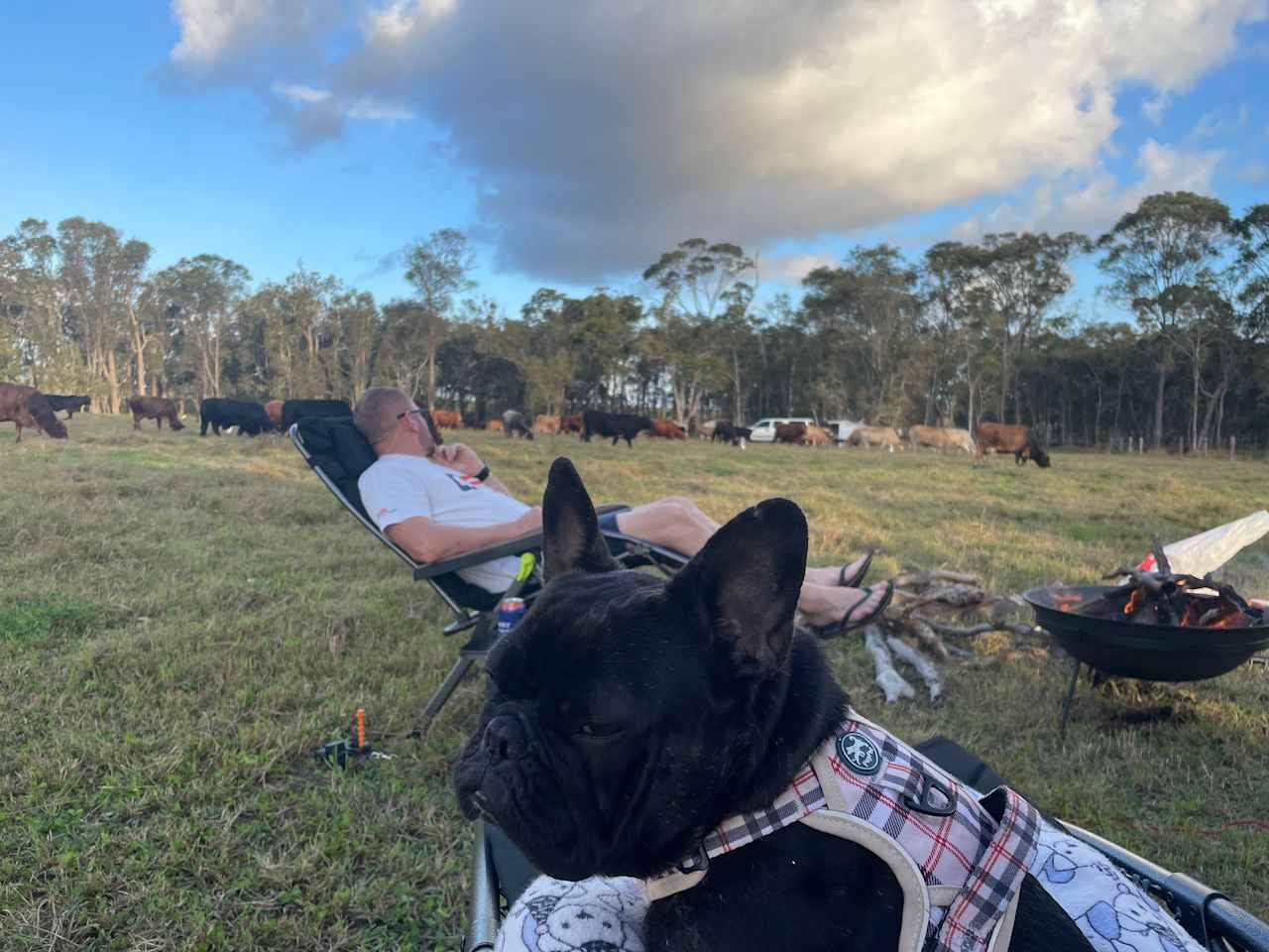 Carlton Farm, Hervey Bay