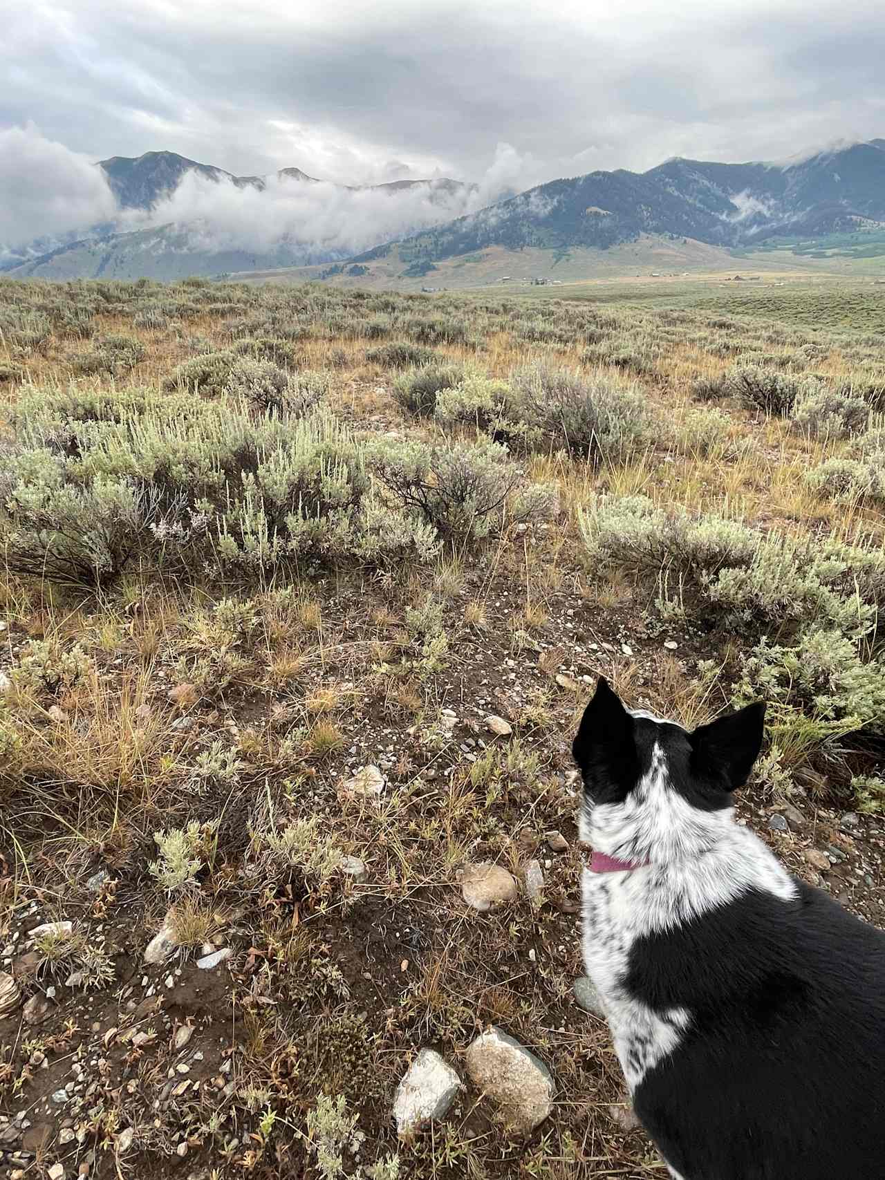 Yellowstone's Home-Base Hookups