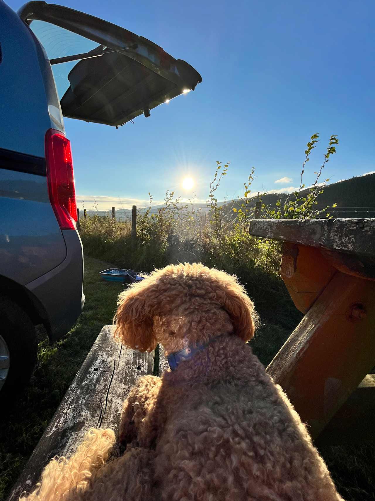 Gwerniago Camping Site