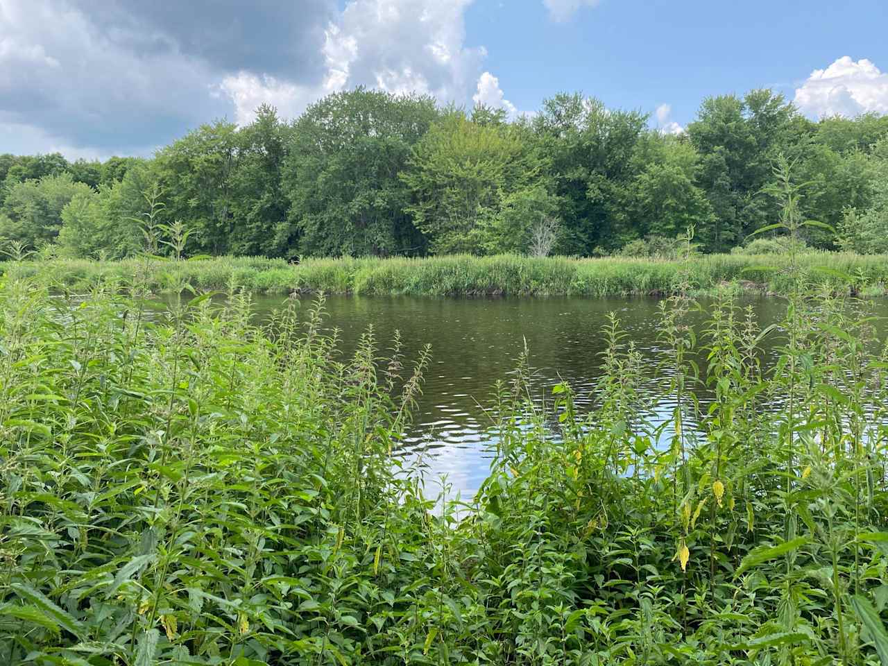 Abby's Peshtigo River Camp