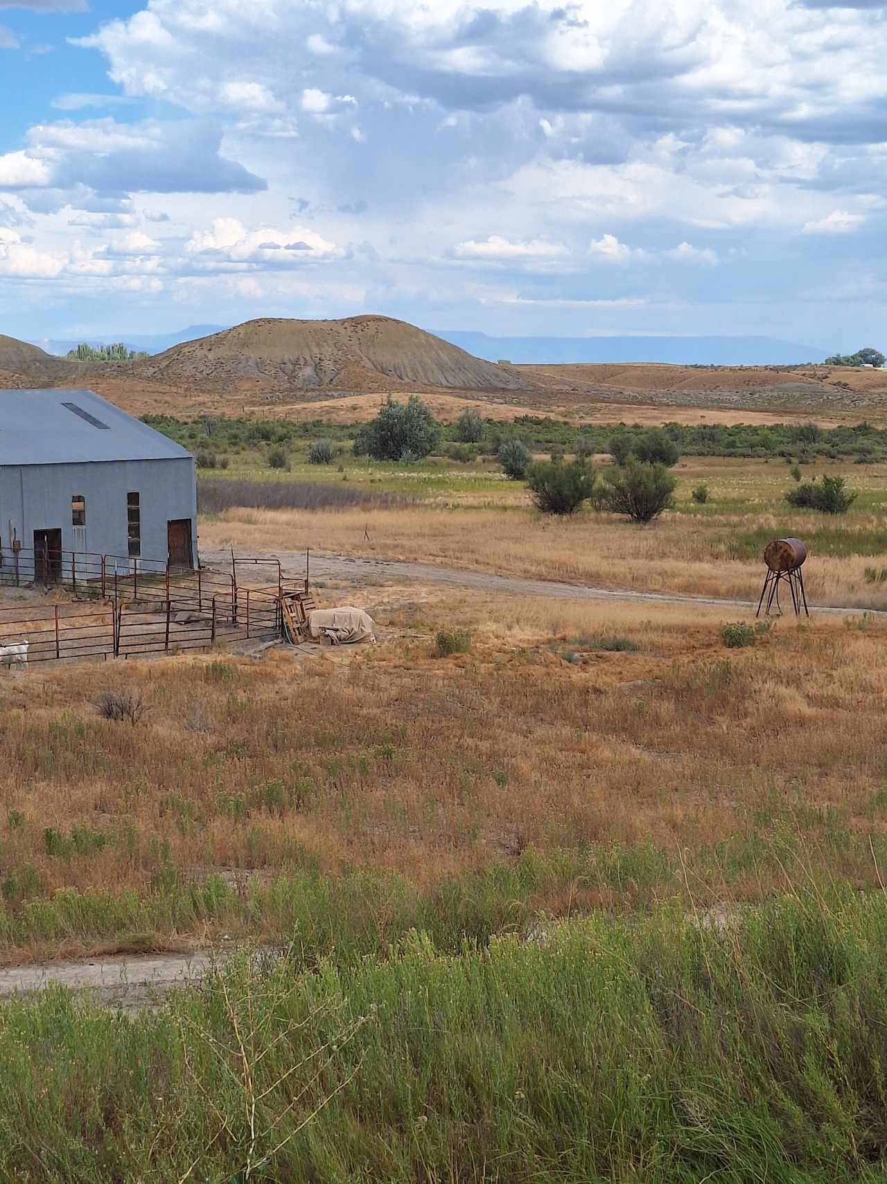 Bear Family Ranch RV and Camping