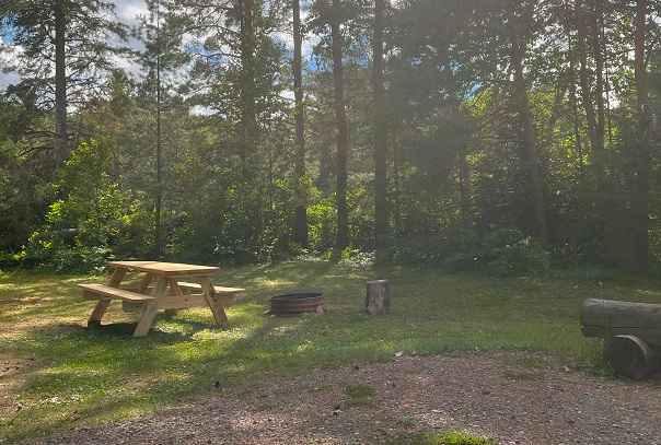 National forest campgrounds near me best sale