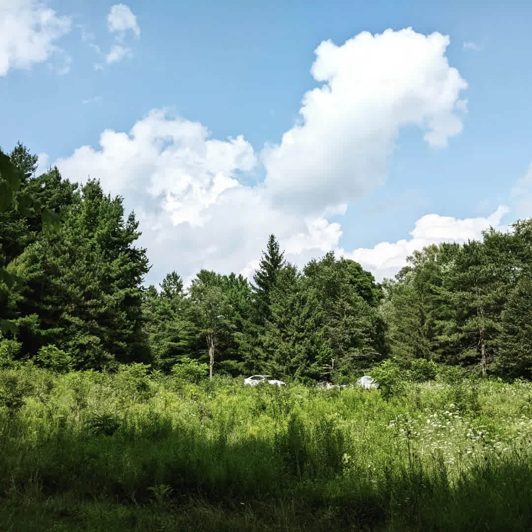 Braemar Valley Nature Sanctuary