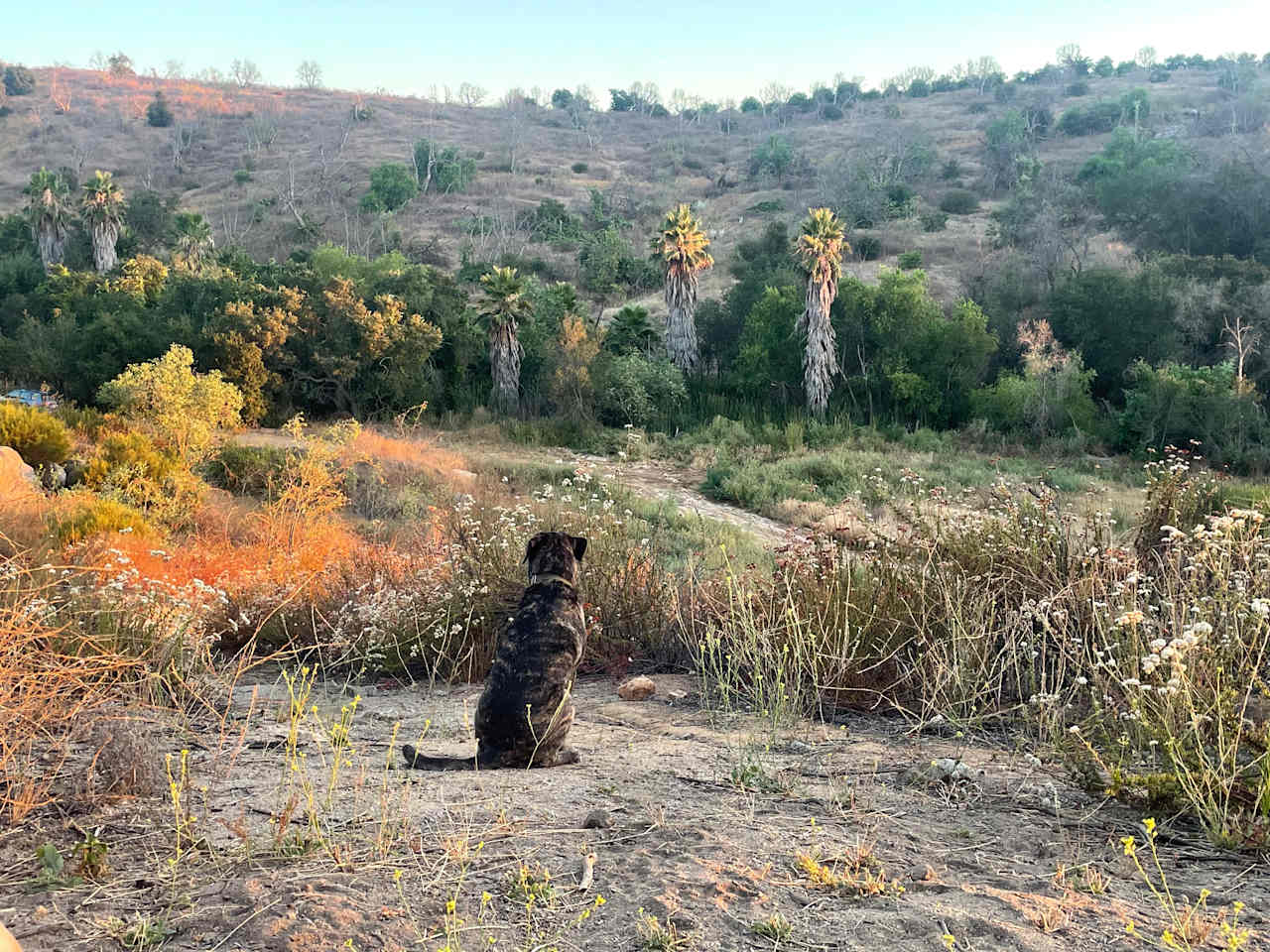 Thundering Hawk Retreat