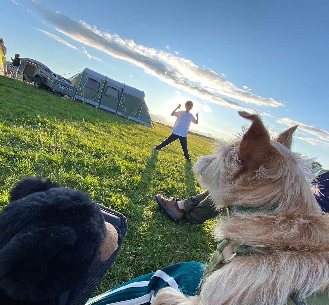 Knoll Farm Campsite