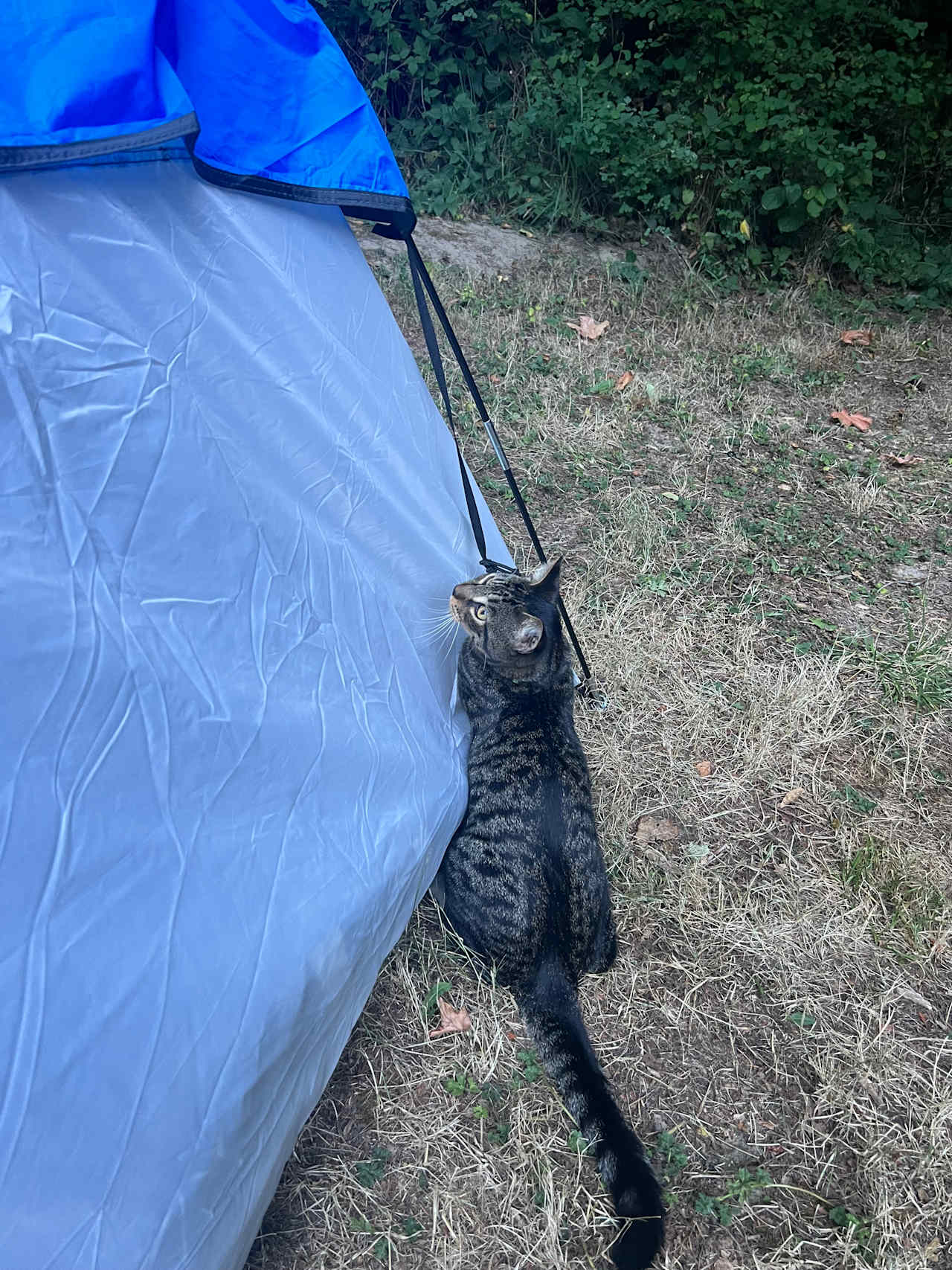 Reiki Ranch RV Camping