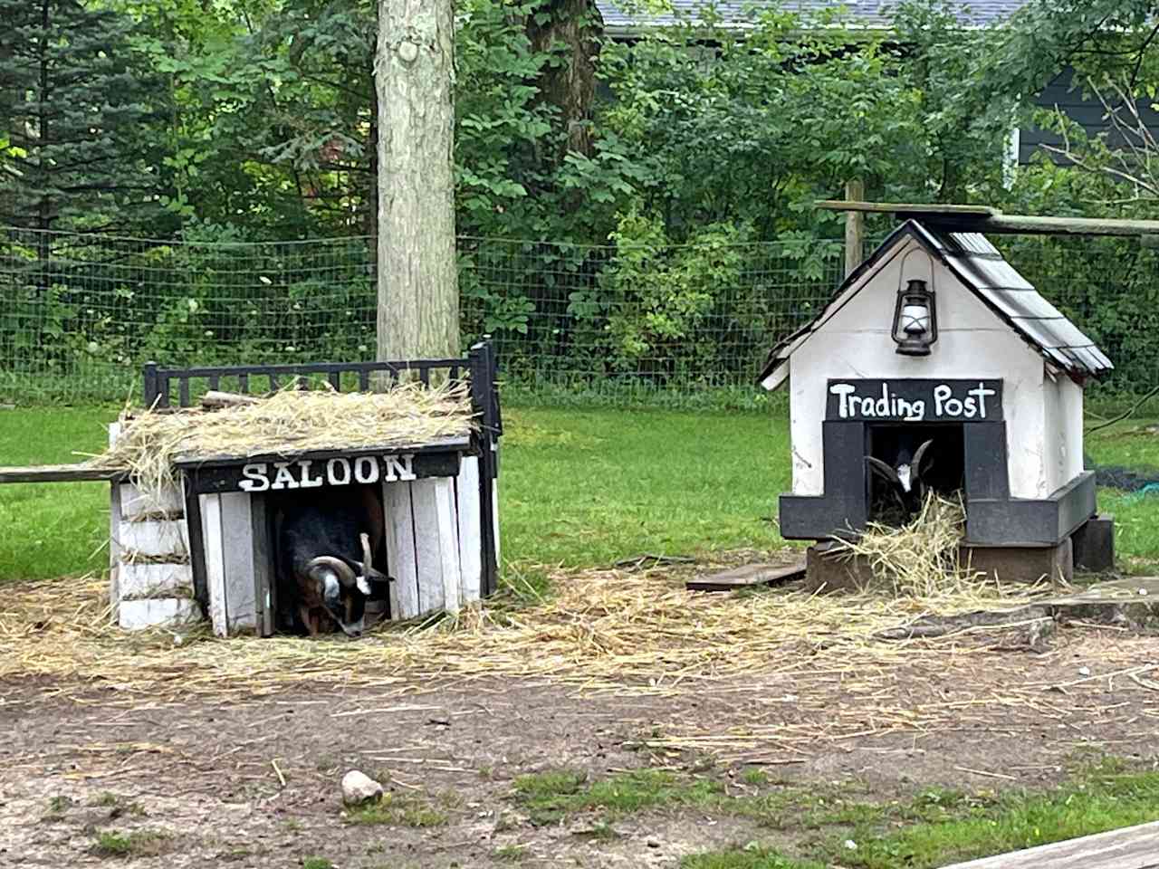 Goat Farm Hide-Away CVNP