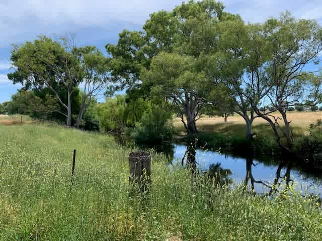 Boorowa River - fishing, canoeing.