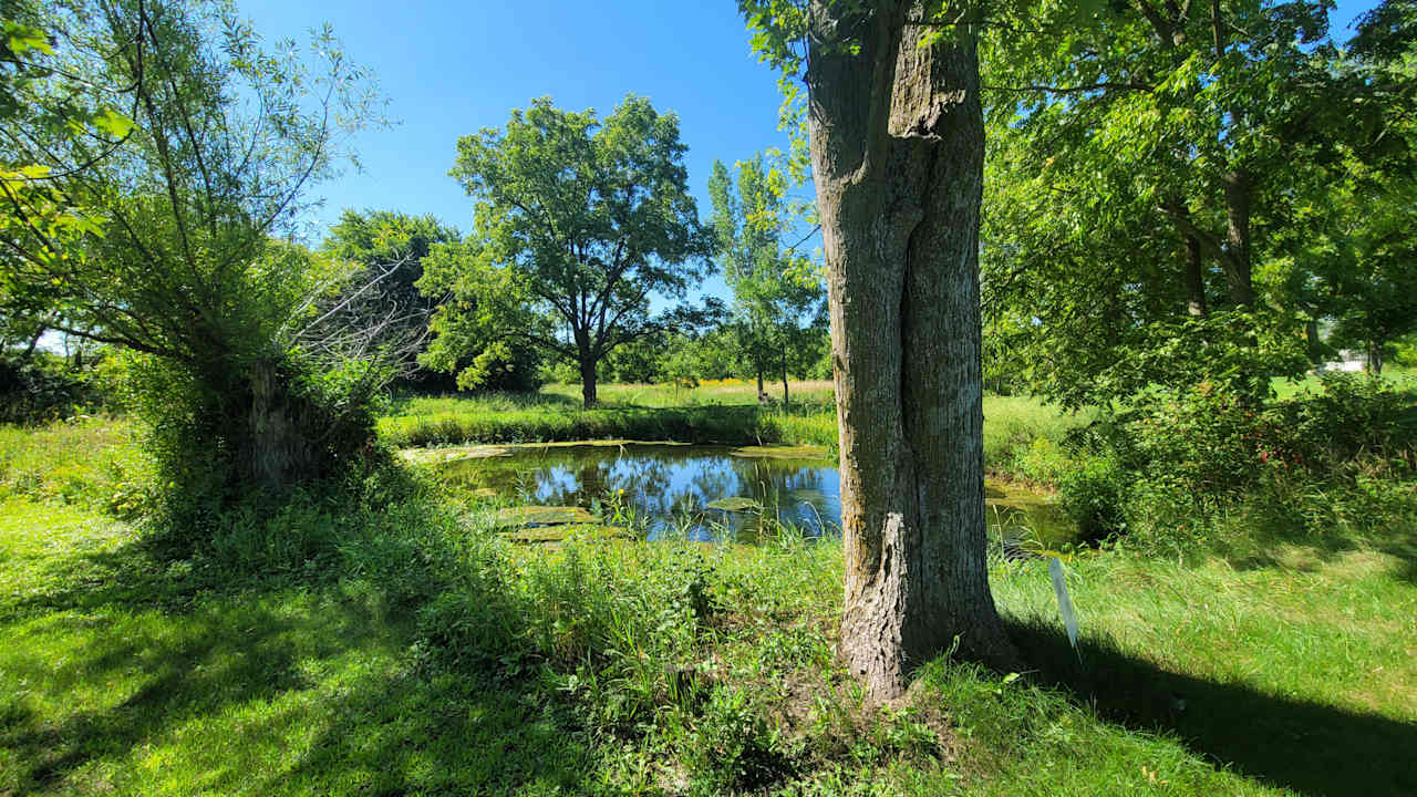 Spring Valley Ponds