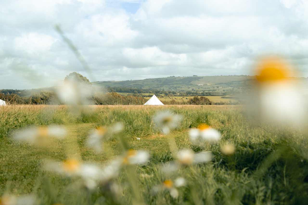 The beauty of the great outdoors was all around us at Haddon Copse Farm.