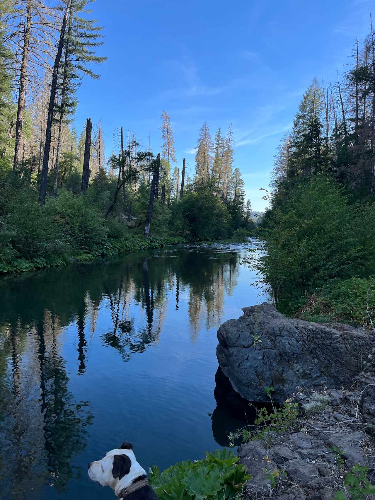 Camp Stoney Meadows