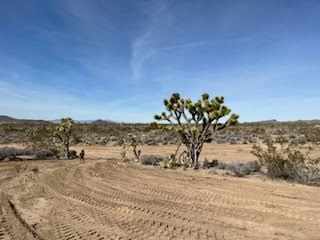 Desert Day's & Night's