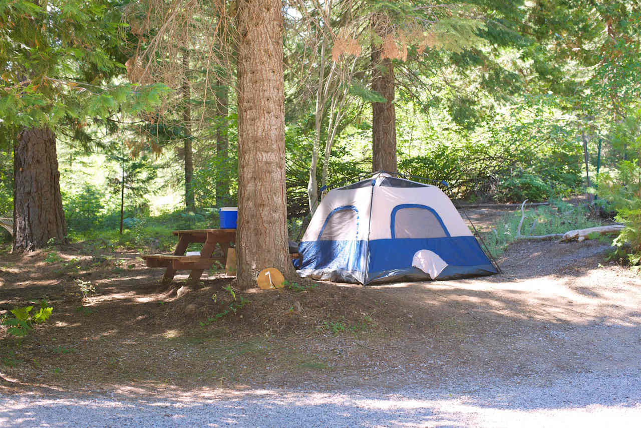 Cozy Creek Camp