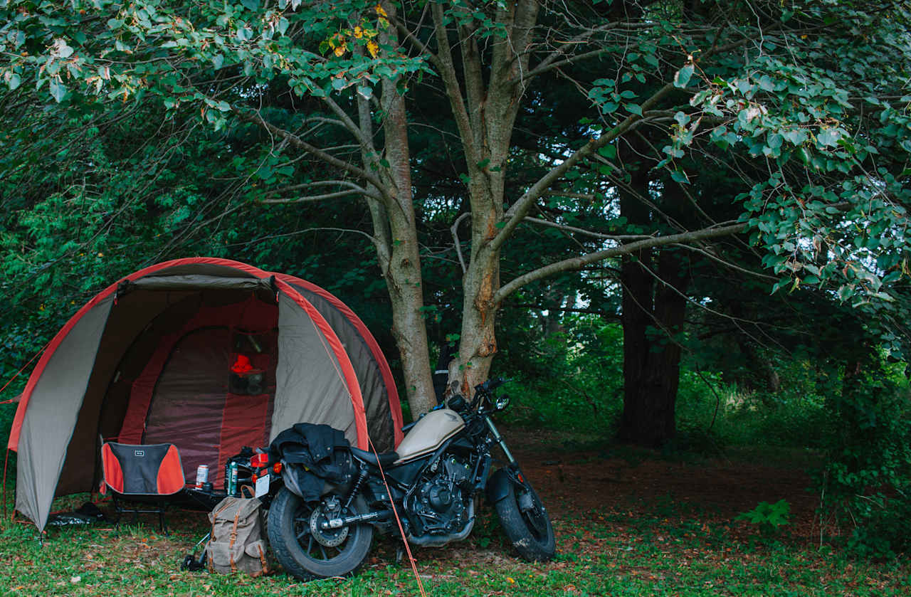 Alcove in the trees can easily accommodate 4-5 tents if you prefer some tree cover