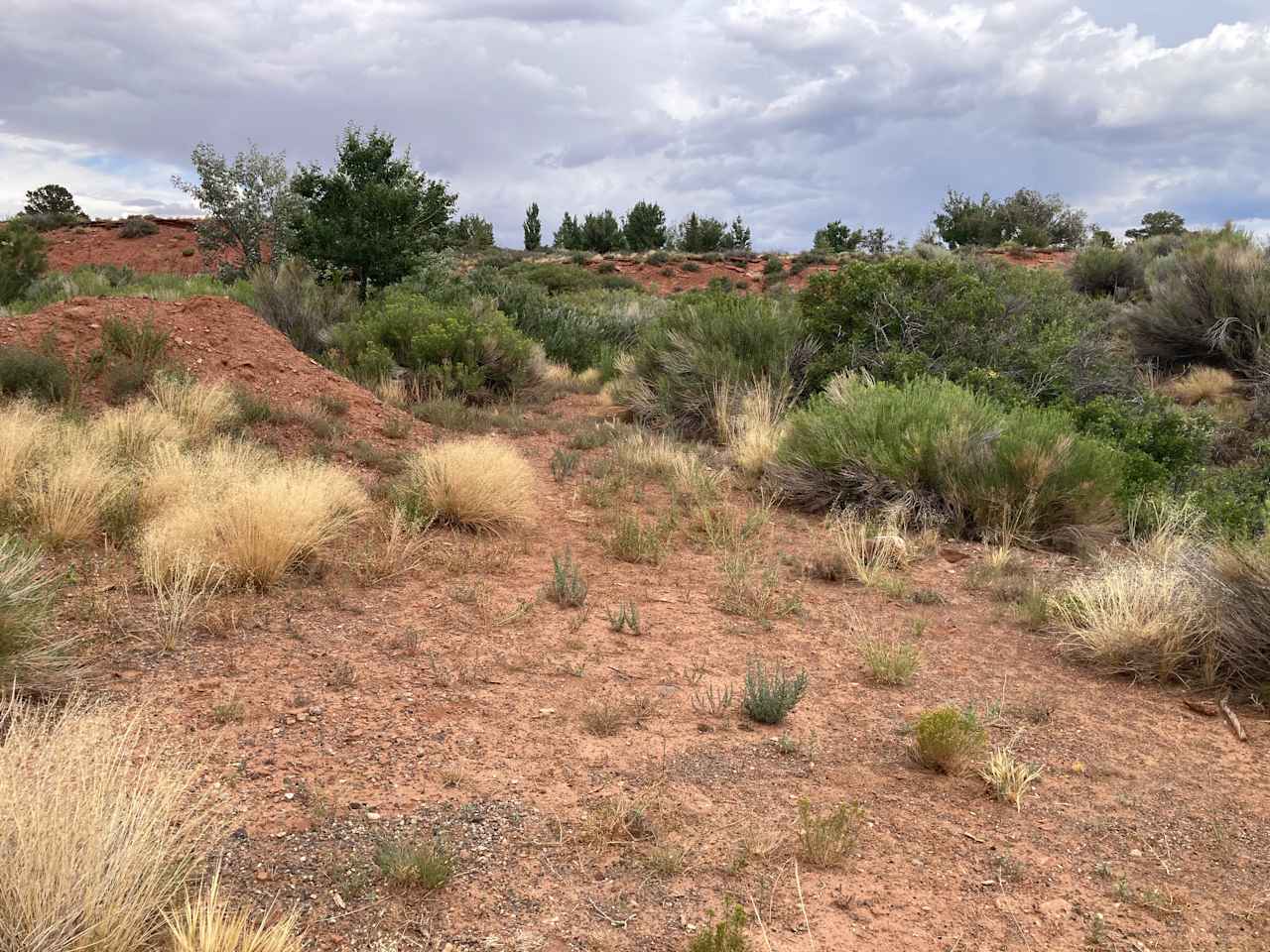 Soft, red sand with a tiny bit of gravel makes this site ideal for tents! Greenery protects from wind and makes it feel cozy.