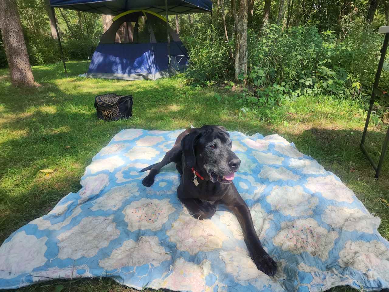 Tent camping on secluded 40 acres.