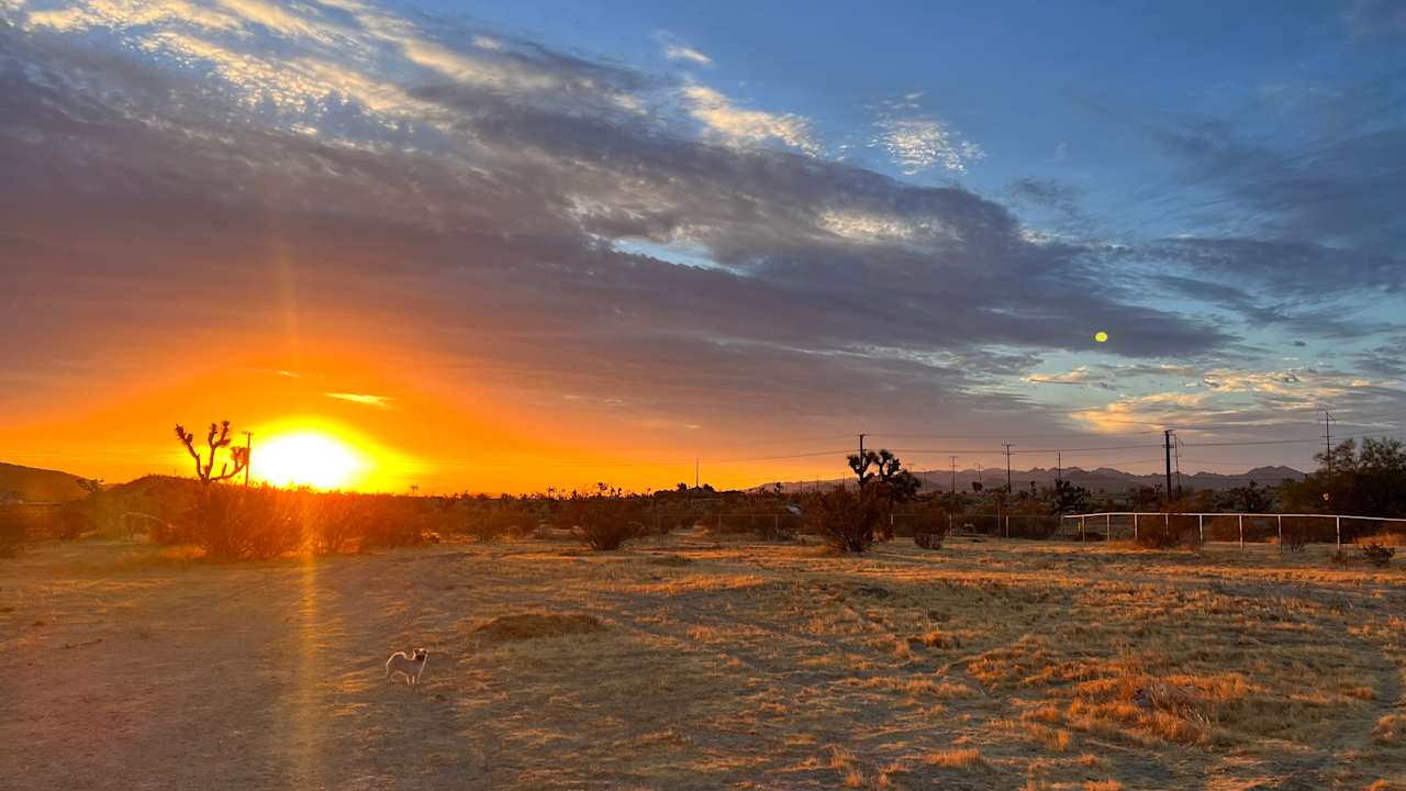 Rancho de Marvin