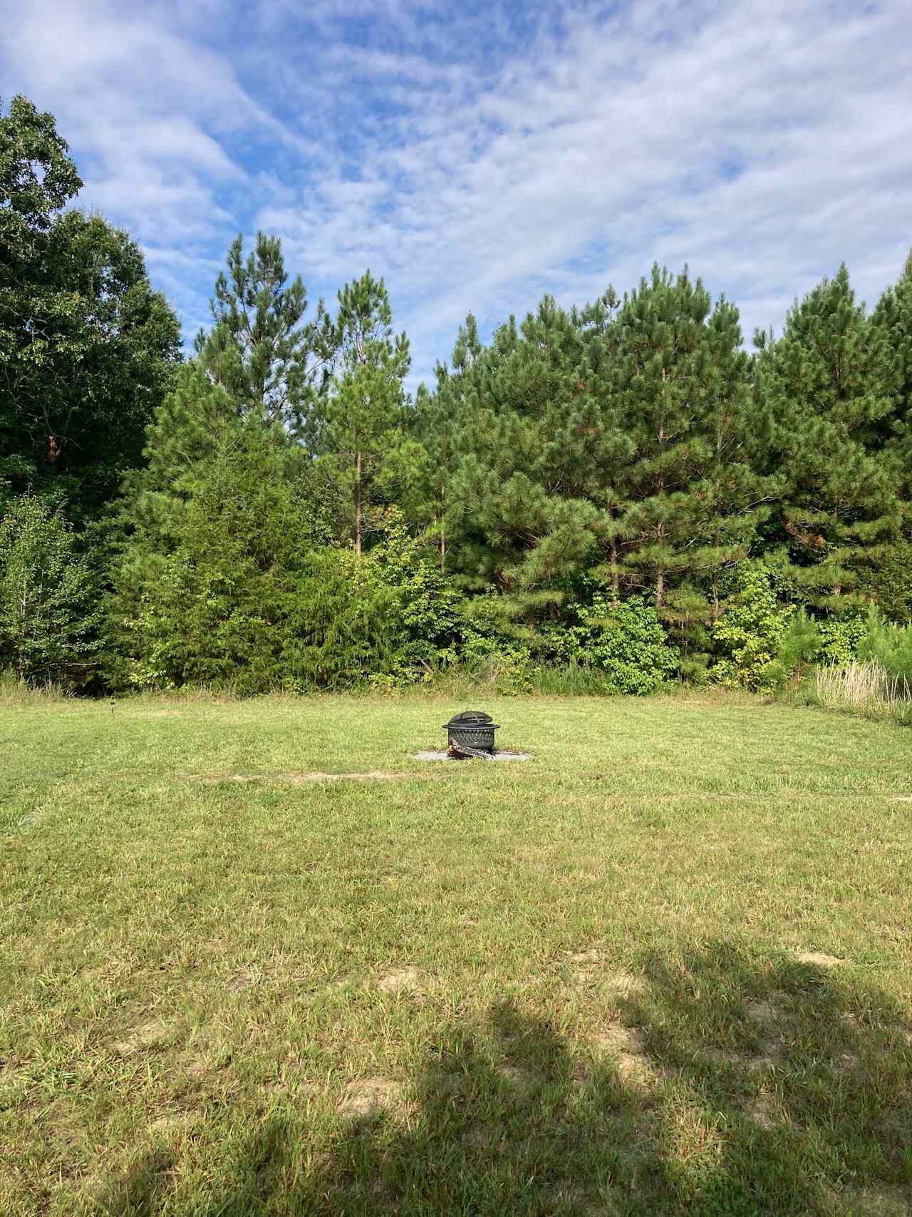 Native loblolly pines on all sides provide privacy from neighbors and the rest of the farm.