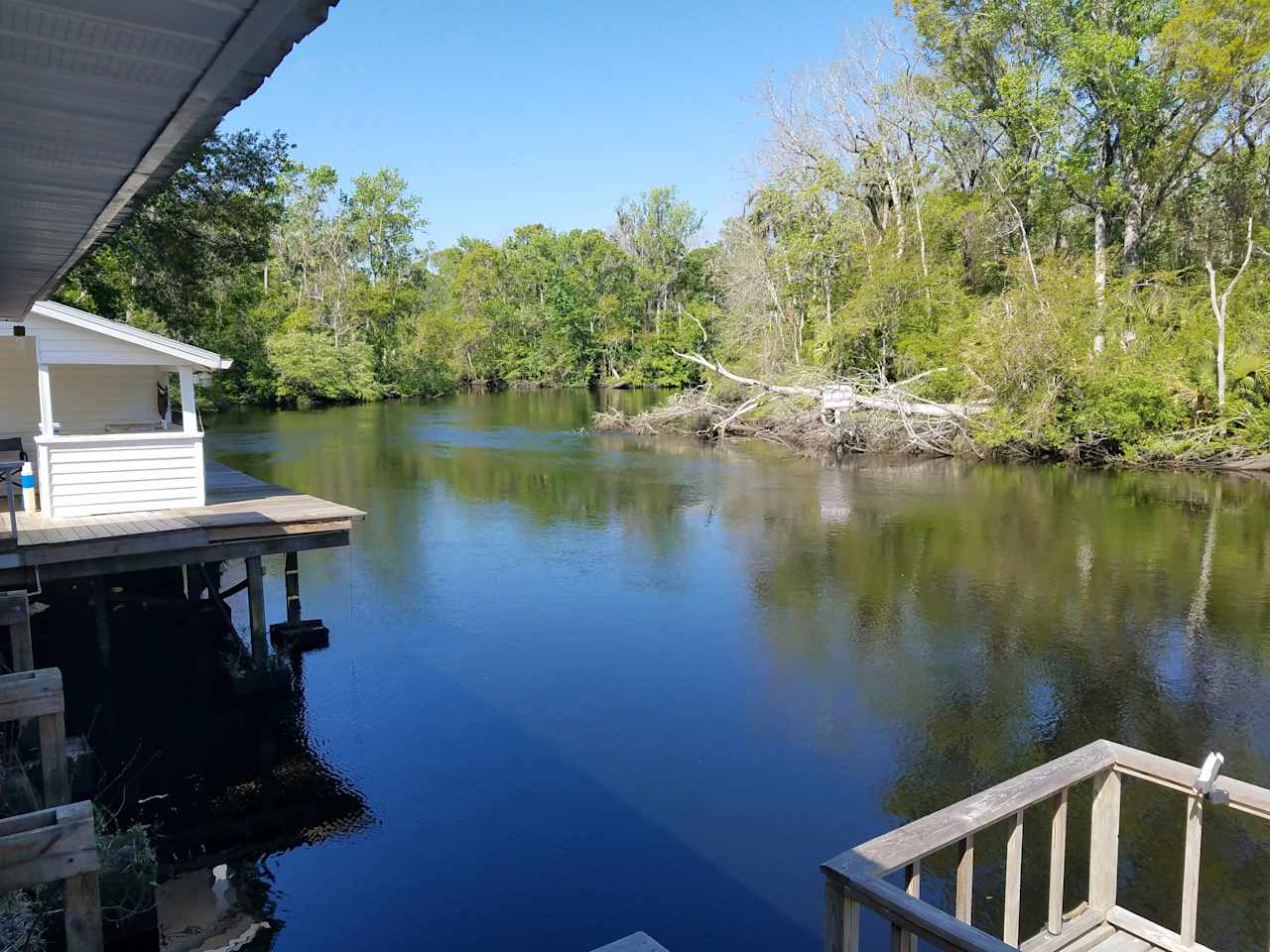 River Rise Cottage On the Aucilla