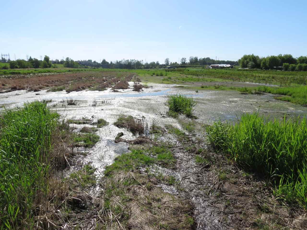 Lake Labish Farm