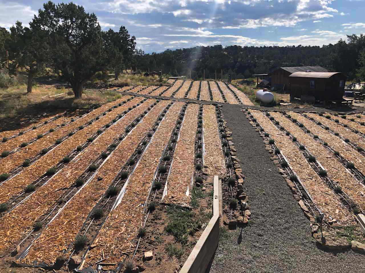 Lavender Farm Stay