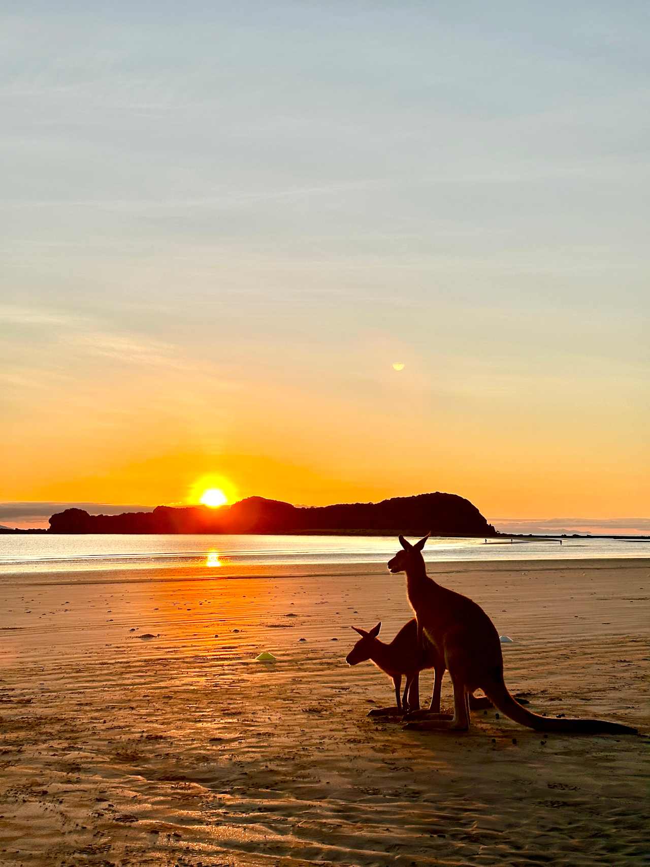 Day trip to Cape Hillsborough