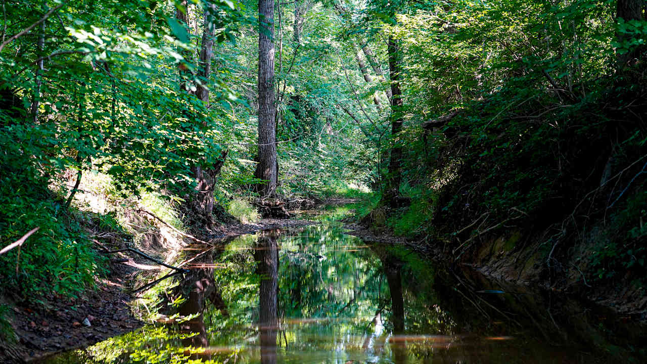 Creek access with the potential to explore and splash around. Water depth varies greatly depending on the season and rain.