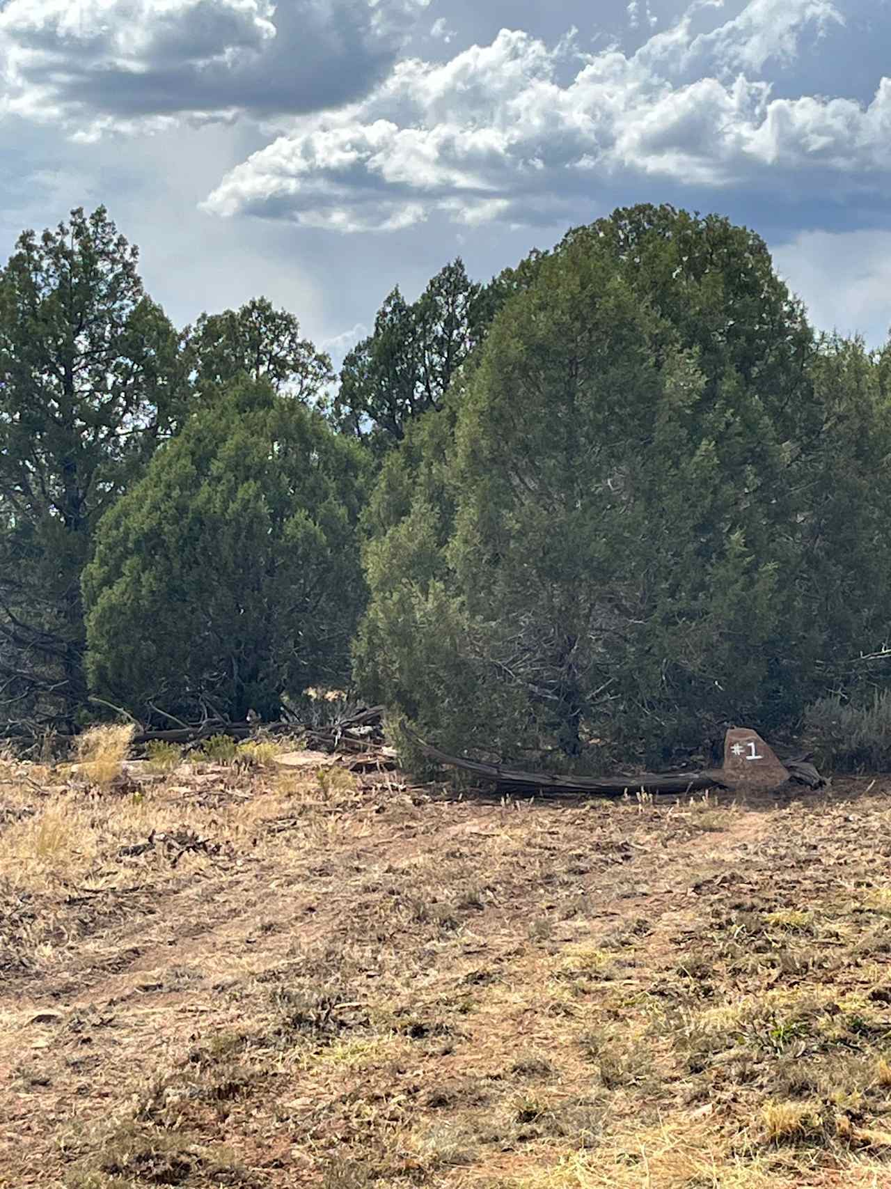 Fort Cedar