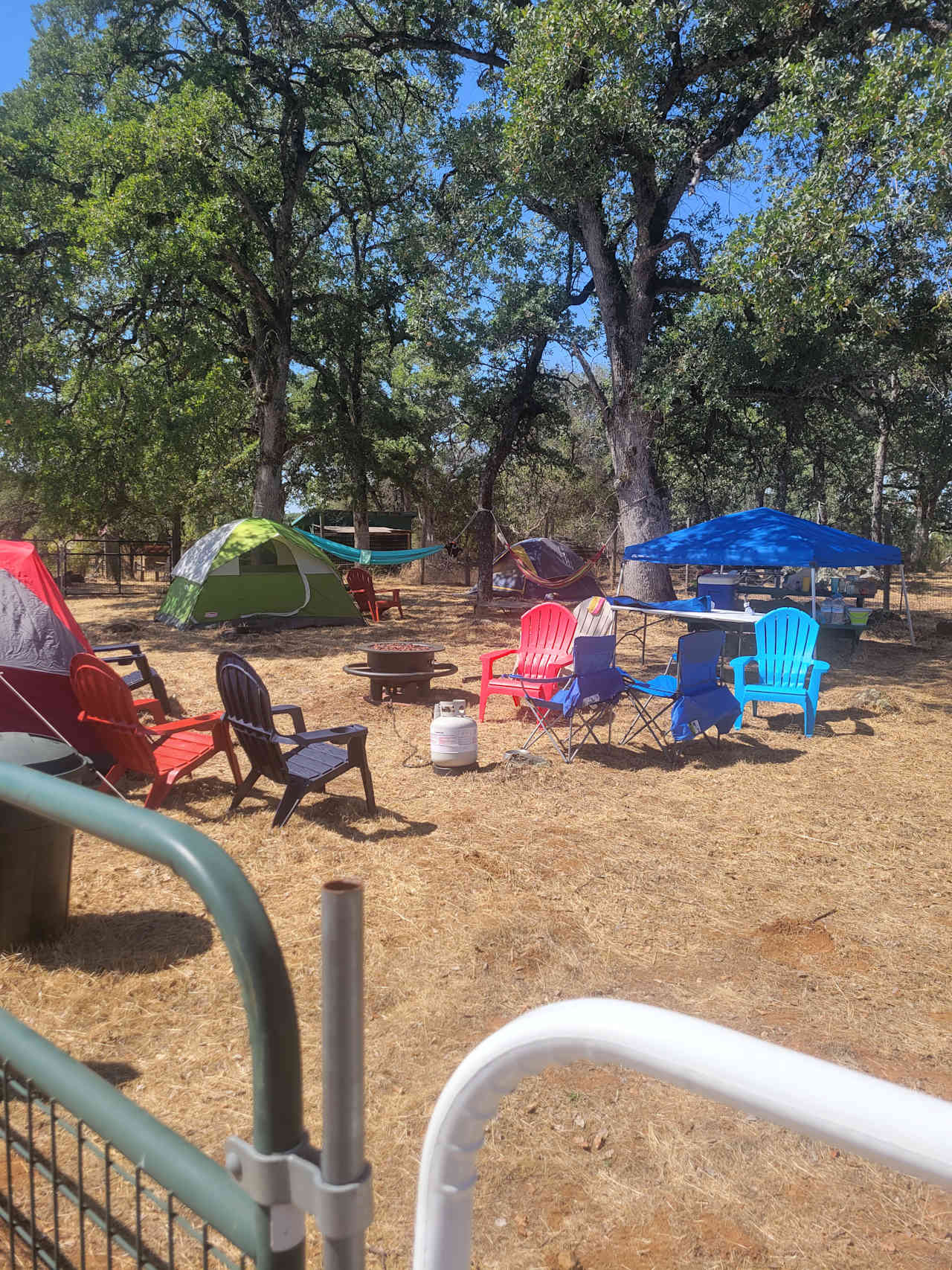 Golden Briar Camp