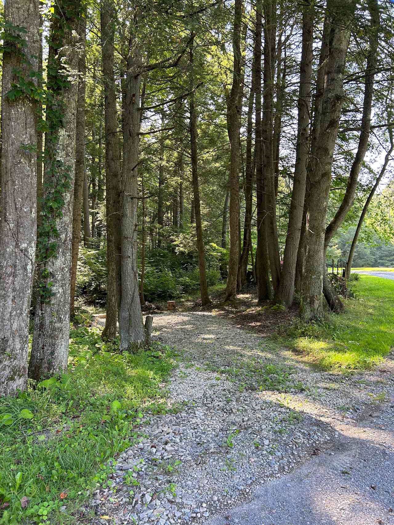 Driveway off of private road into site