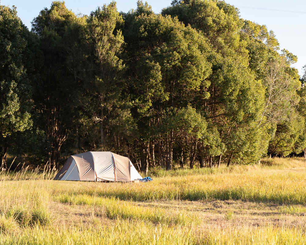 Campsite near the creek