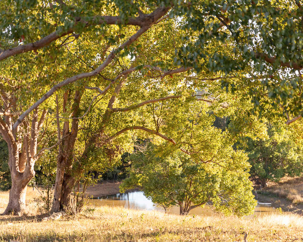 Creekside Camping 