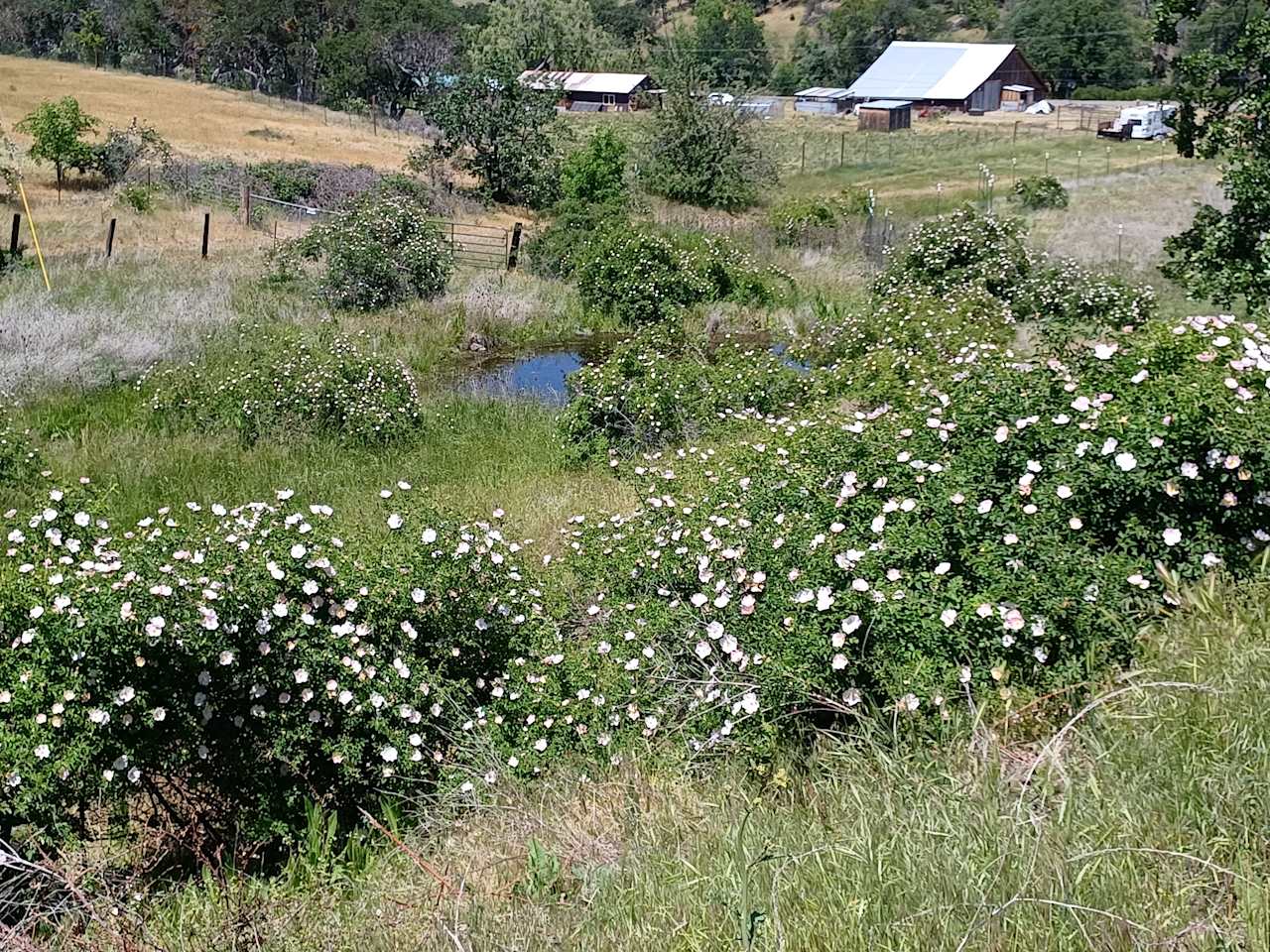 a view from up the trail 