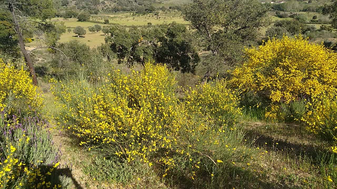 Quinta de Volte a Fonte