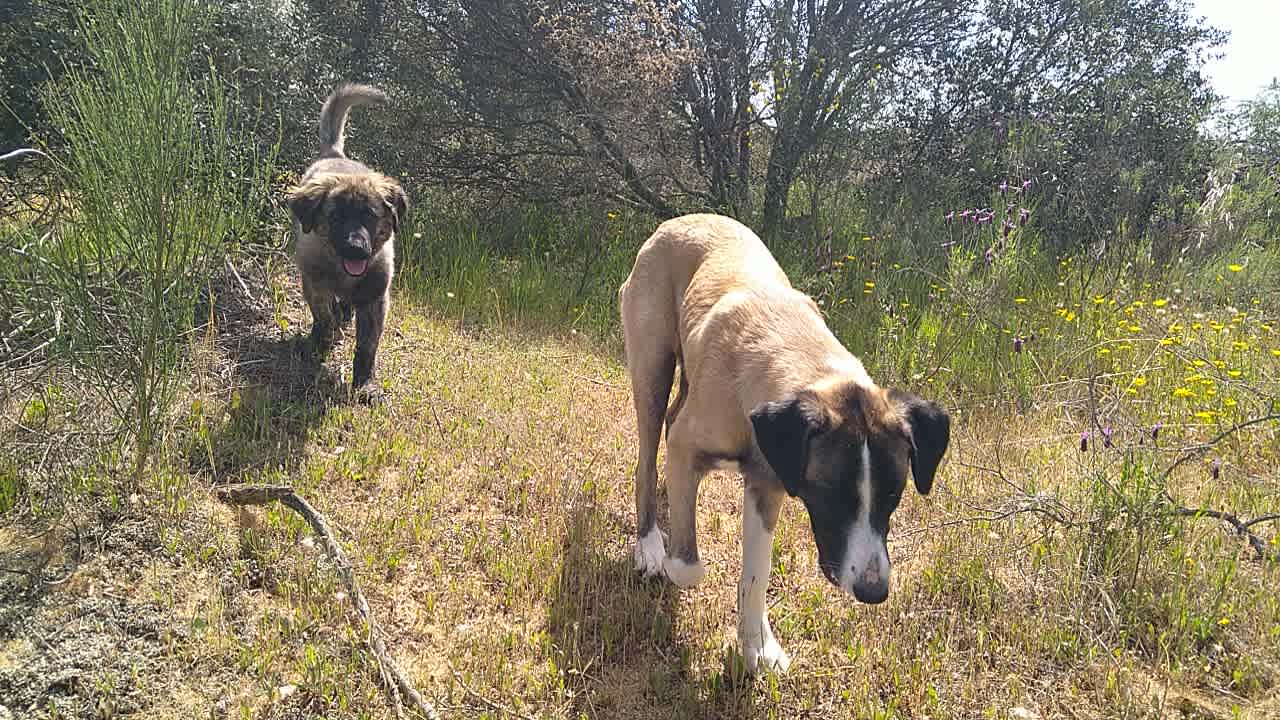 Quinta de Volte a Fonte