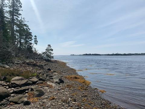 Beach at site