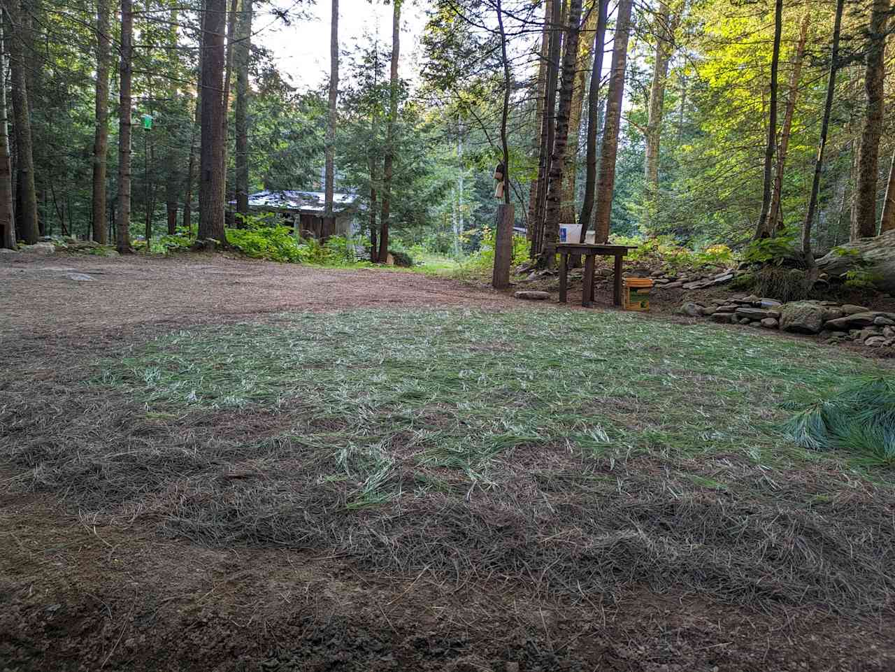 Pine needles! We add a new layer every week or so. It's fun and relaxing, and provides a soft bed for tent campers.