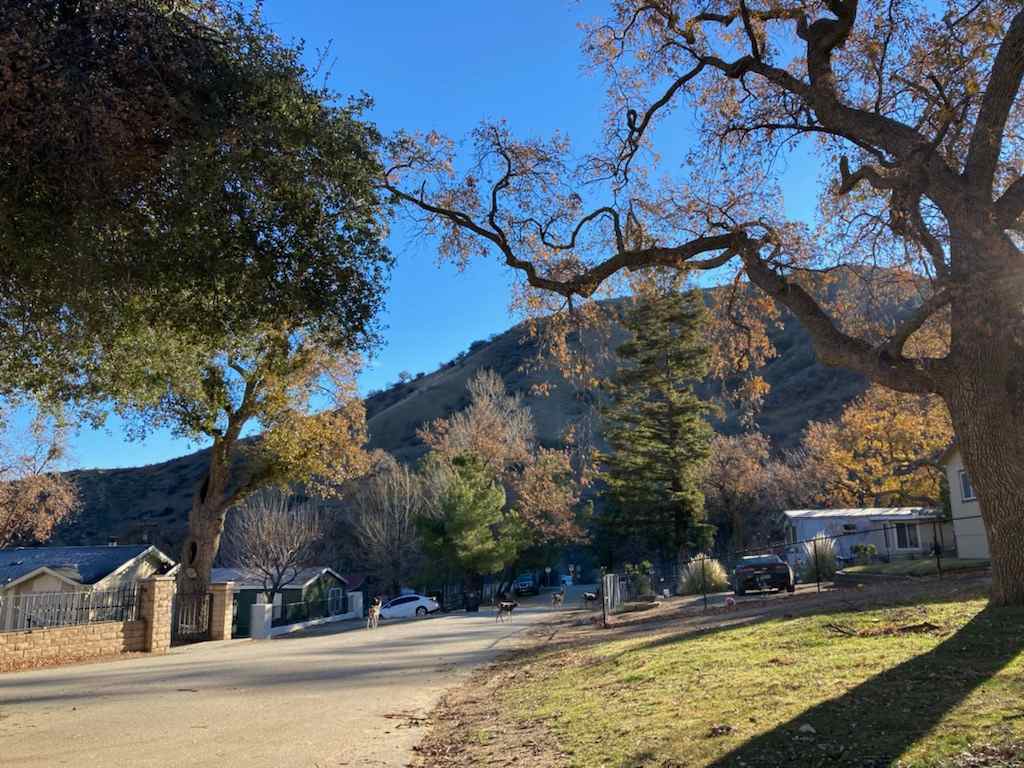 Peaceful Los Padres Estate