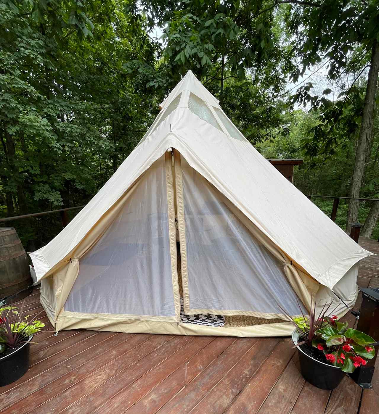 Stargazer Glamping Campsite