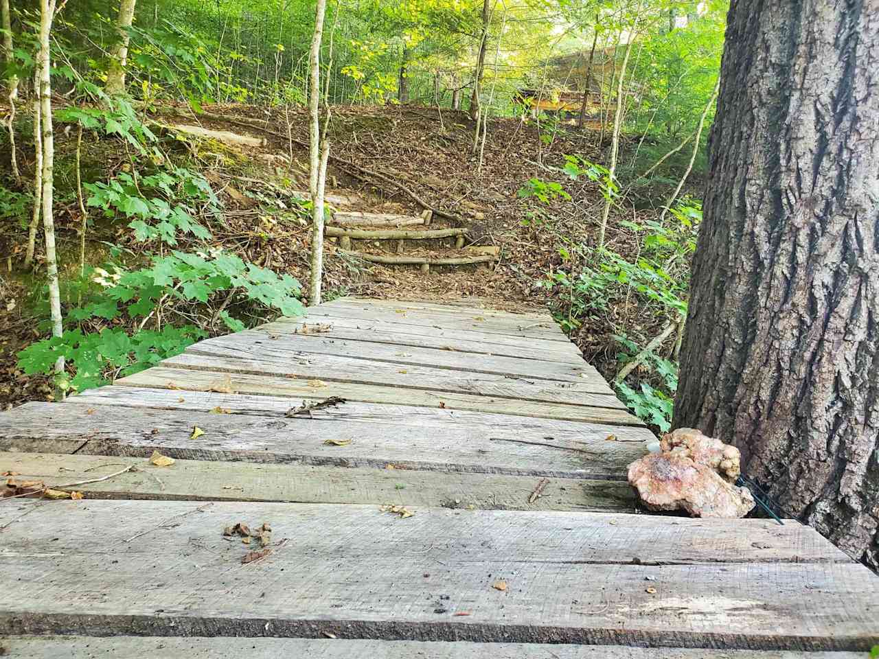 Walk the footbridge over the creek, and up the stairway to your retreat
