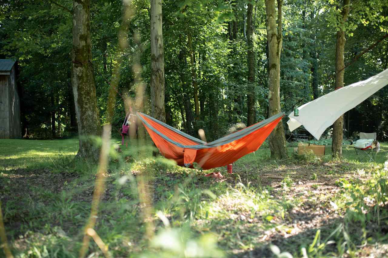 Little spot to hang a hammock