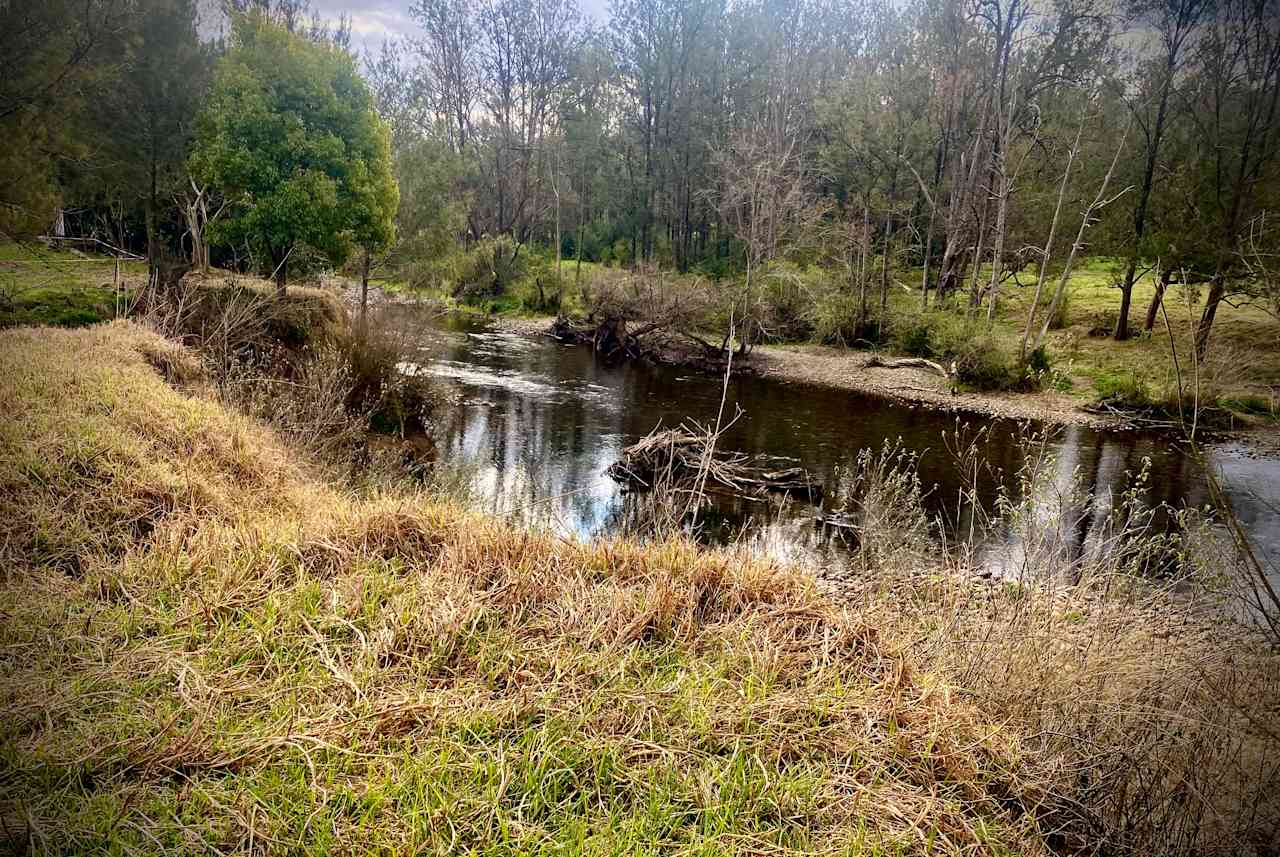 Evermore Farm on Barrington River