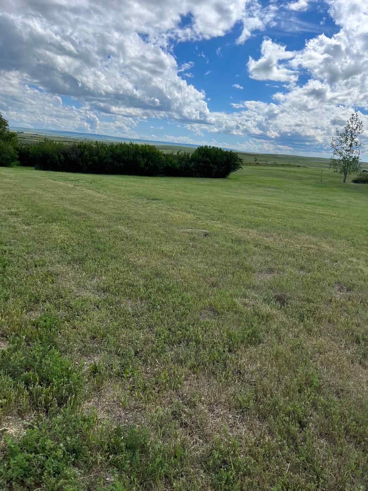 Lavender and Lilac Ranch