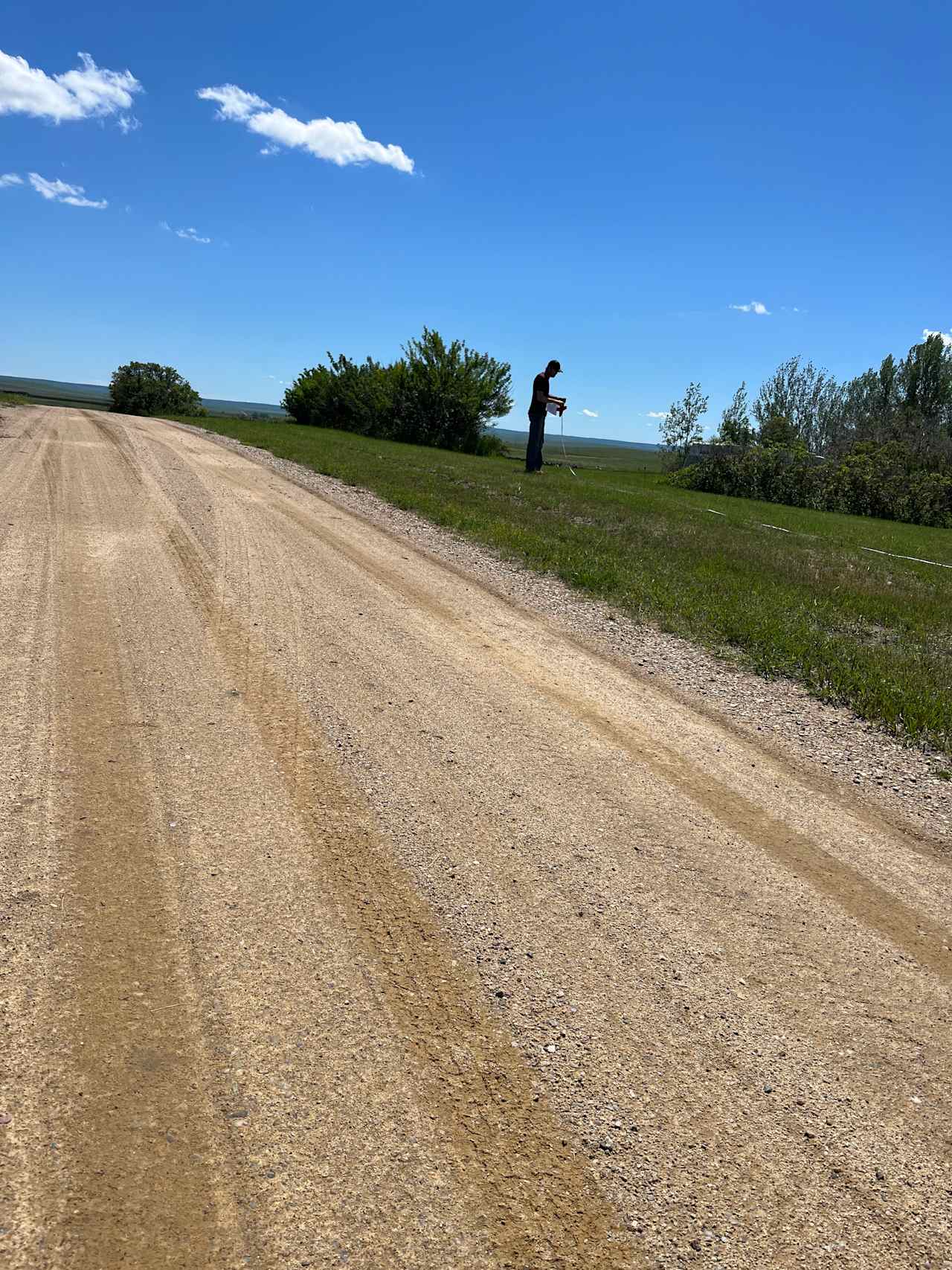 Lavender and Lilac Ranch