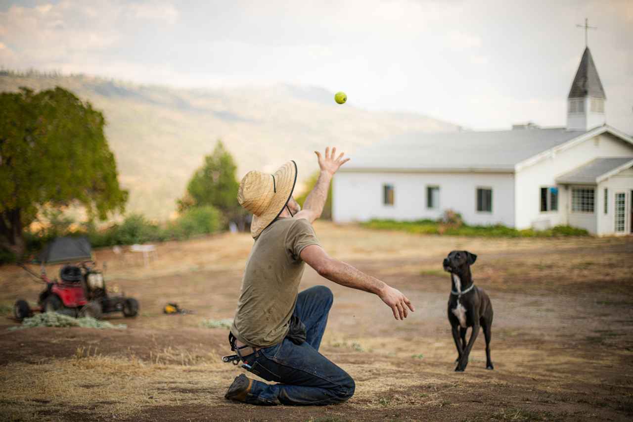 Owner (jack) with his dog playing fetch