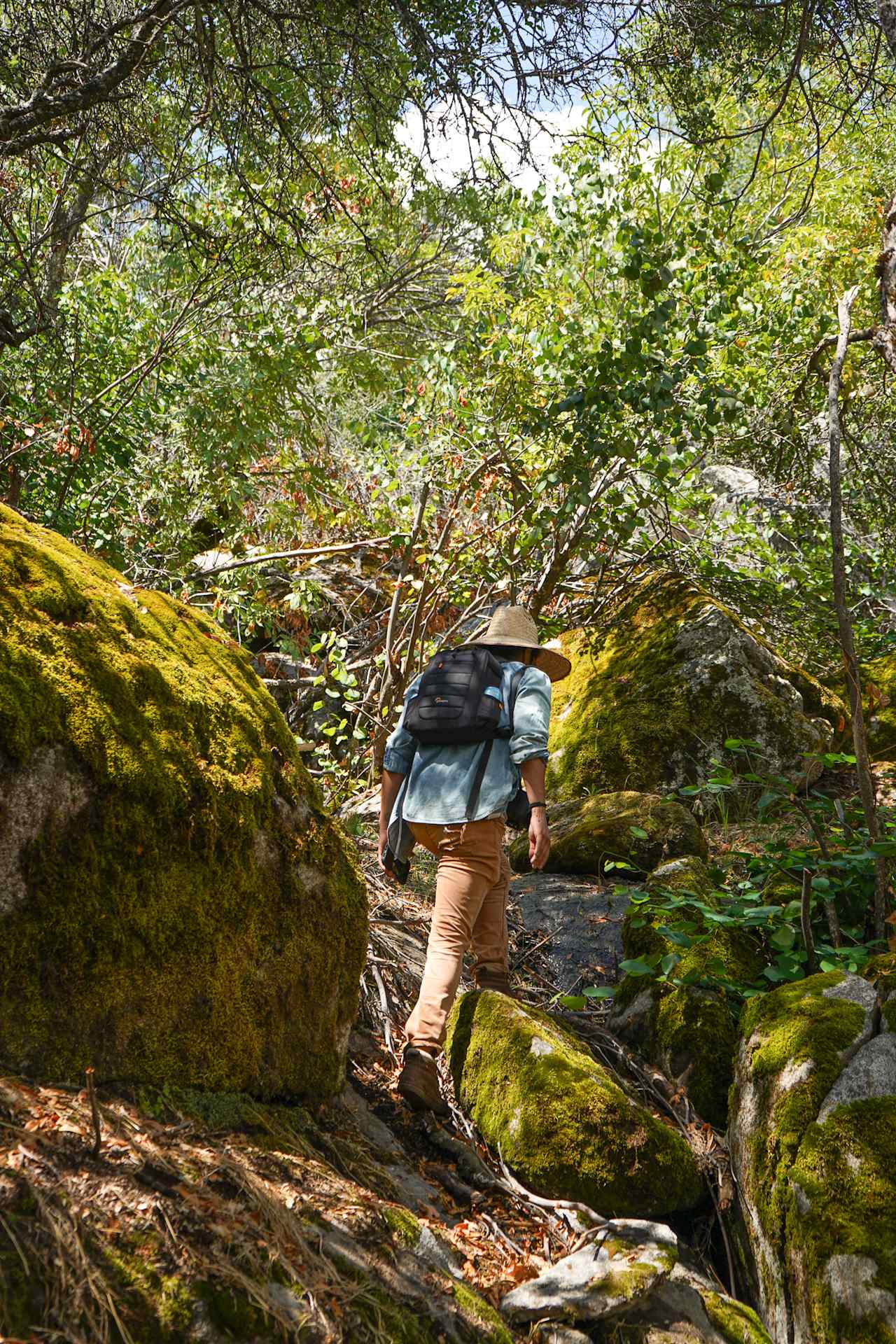 Hiking up the Dry Creek Trail