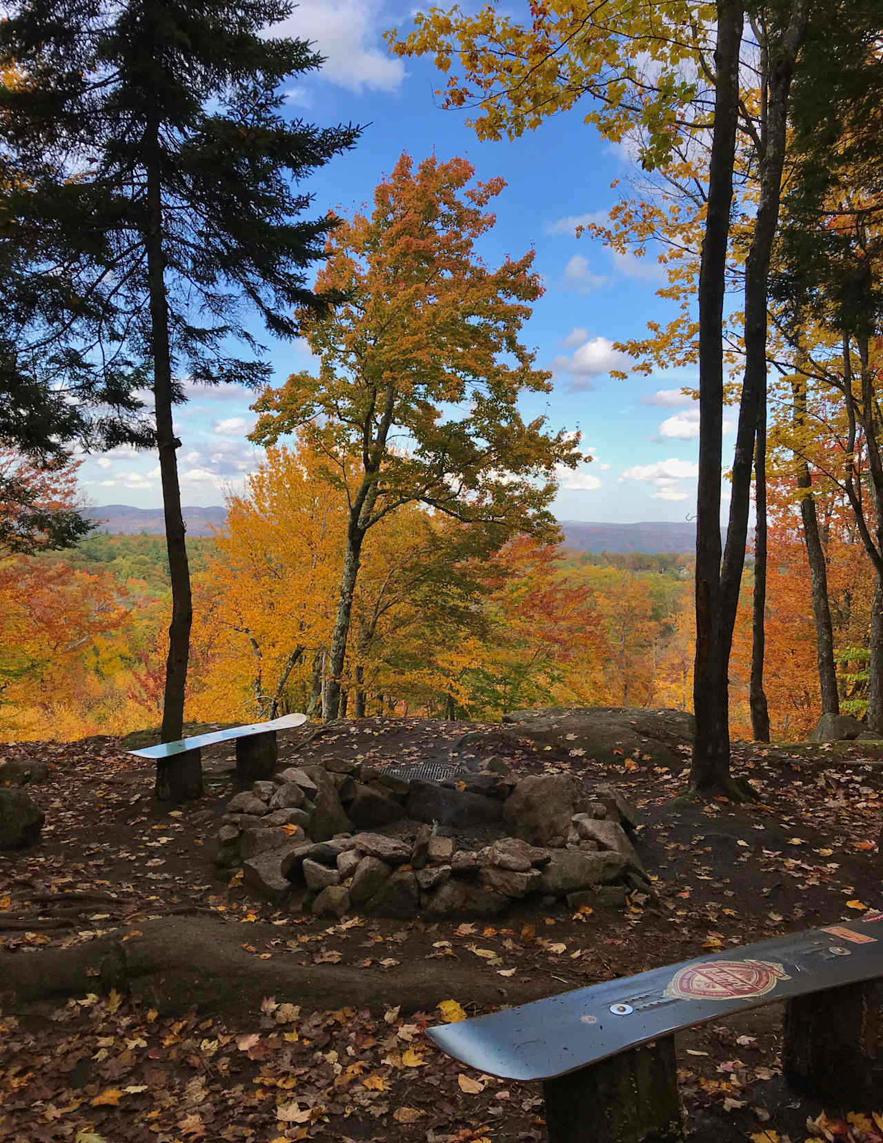 Hussey Mountain Tree Farm